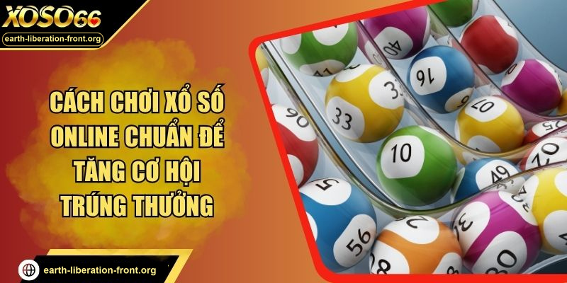 Cách Đánh Xổ Số Miền Bắc Online Hiệu Quả Cho Người Mới