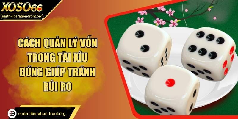 Cách quản lý vốn trong tài xỉu đúng giúp tránh rủi ro