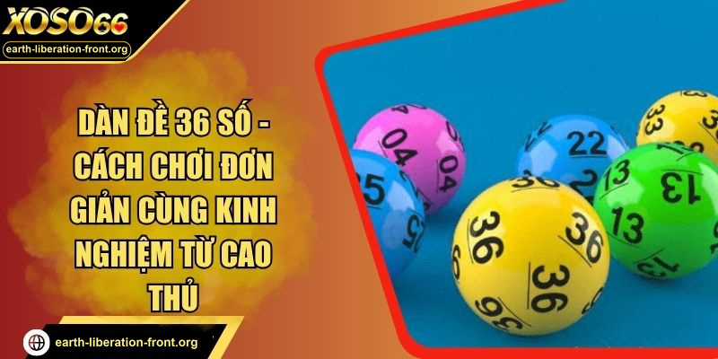 Dàn Đề 36 Số - Chia sẻ Tips Chơi Lô Đề Từ Các Chuyên Gia