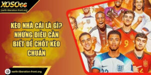 Kèo Nhà Cái Là Gì? Những Điều Cần Biết Để Chốt Kèo Chuẩn