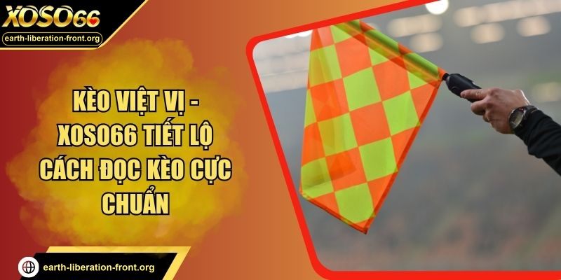 Kèo Việt Vị - XOSO66 Tiết Lộ Cách Đọc Kèo Cực Chuẩn