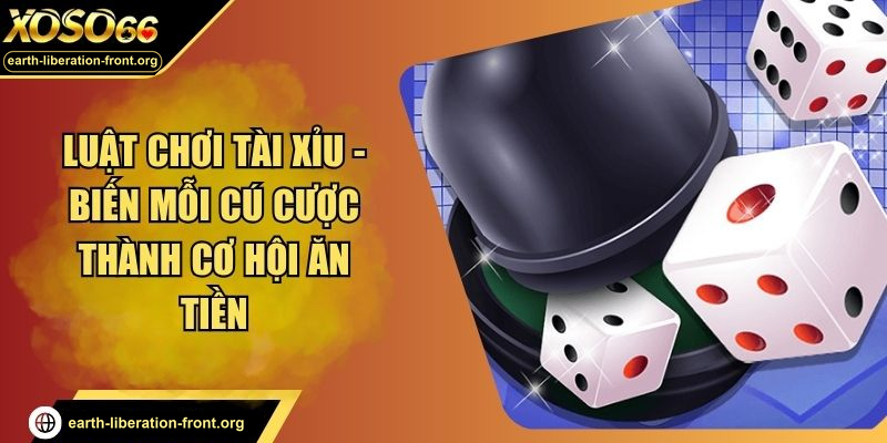Luật Chơi Tài Xỉu - Biến Mỗi Cú Cược Thành Cơ Hội Ăn Tiền