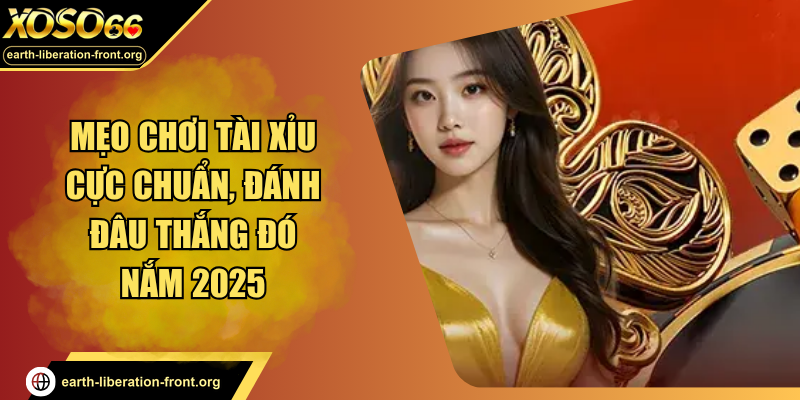 Mẹo Chơi Tài Xỉu Cực Chuẩn, Đánh Đâu Thắng Đó Nắm 2025
