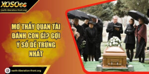 Mơ thấy quan tài đánh con gì? Gợi ý số dễ trúng nhất