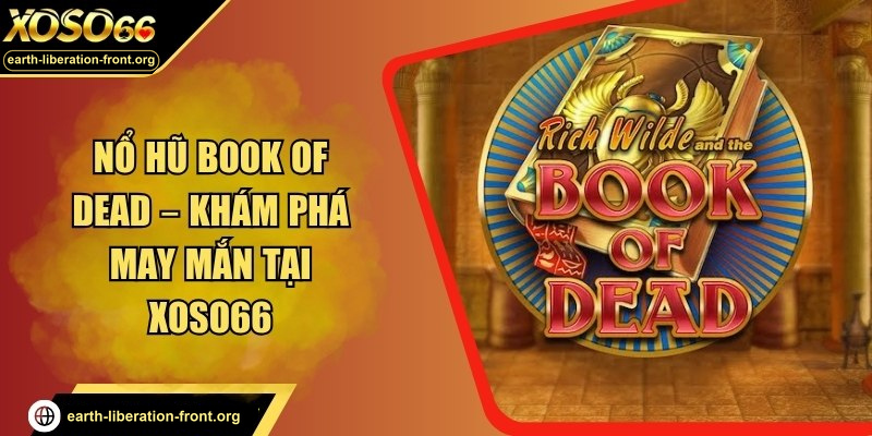 Nổ hũ Book of Dead – Khám phá may mắn ngay tại xoso66