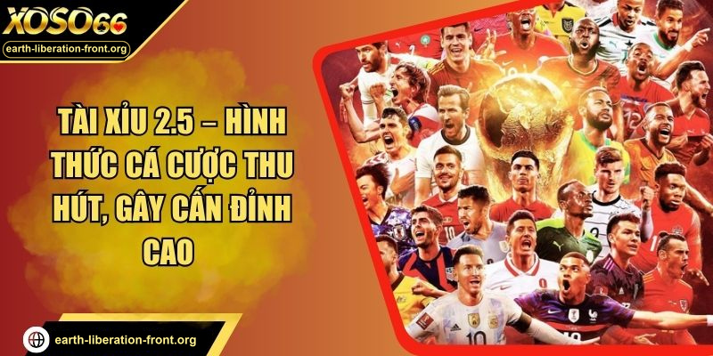 Tài Xỉu 2.5 – Hình Thức Cá Cược Thu Hút, Gây Cấn Đỉnh Cao