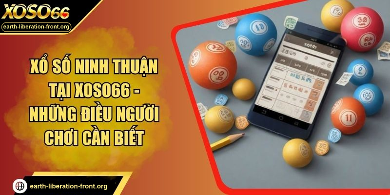 Xổ Số Ninh Thuận Tại XOSO66 - Những Điều Người Chơi Cần Biết
