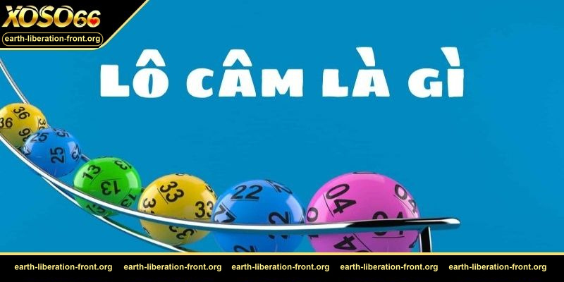 Giải thích lô đầu câm và nguyên nhân nên lựa chọn cách soi này