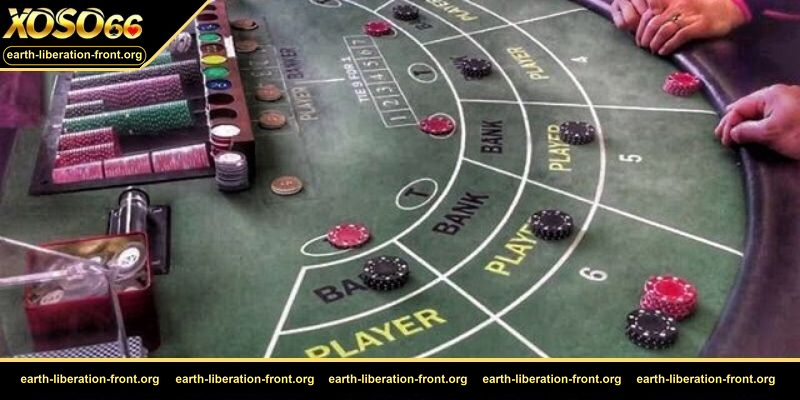 Lý giải cụ thể soi cầu Baccarat là gì