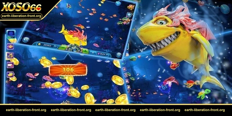 bắn cá Zuma phiêu lưu – Ưu đãi cực lớn và hỗ trợ tận tâm mang đến trải nghiệm game mượt mà