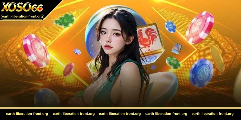 Nguyên tắc vận dụng khi chơi bầu cua online