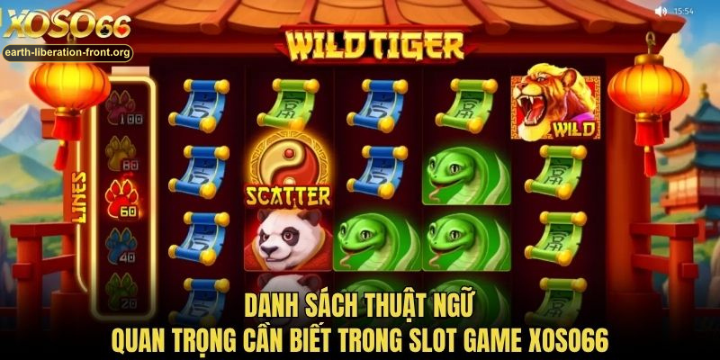 Danh sách thuật ngữ quan trọng cần biết trong slot game Xoso66