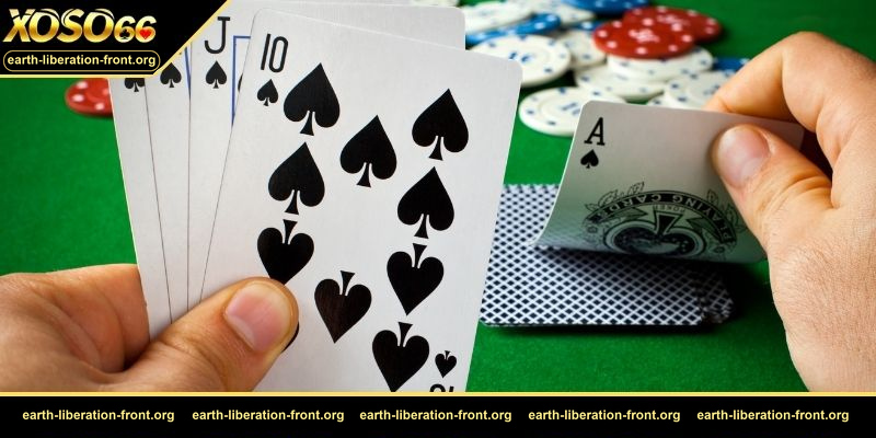 Poker Texas – Thuật ngữ game bài từ A–Z – Bí kíp sinh tồn cho mọi tay chơi