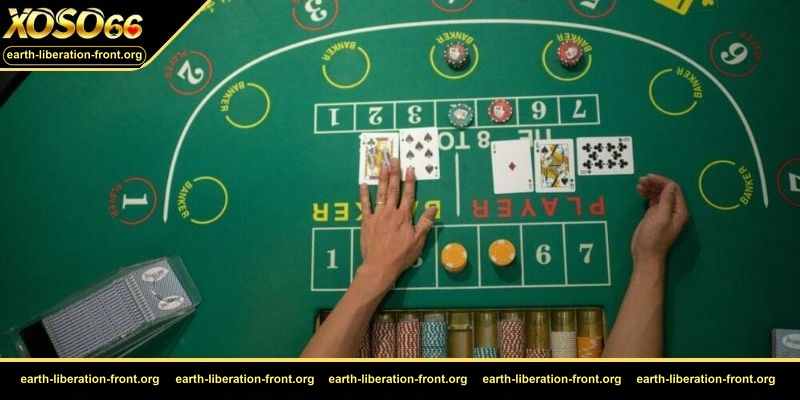 Điểm danh những cách soi cầu Baccarat bất bại