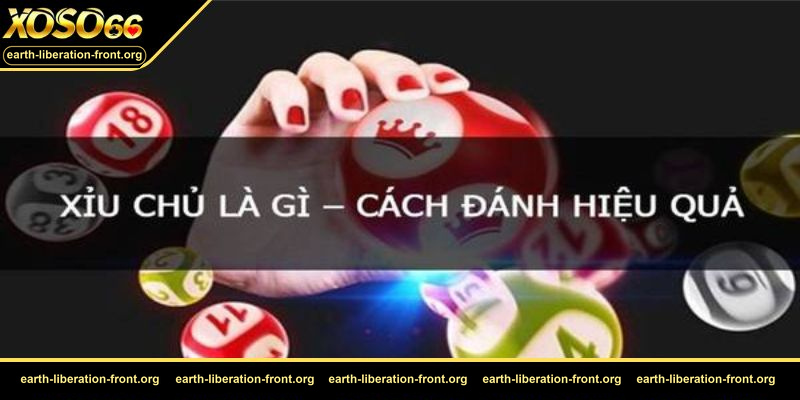 Xỉu chủ là gì – Bí quyết trúng thưởng cao khi chơi lô đề xỉu chủ