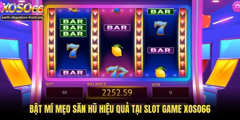 Bật mí mẹo săn hũ hiệu quả tại slot game Xoso66
