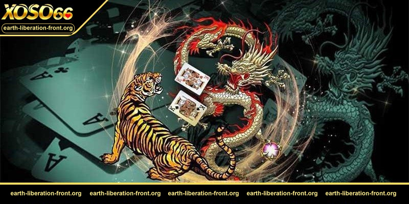 Quản lý vốn trong rồng hổ – Một số phương pháp để điều chỉnh tài chính 