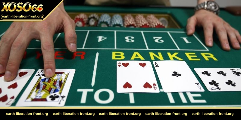 Sai lầm thường gặp khi áp dụng soi cầu baccarat